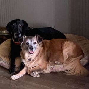 Meet your Posher, Jenny